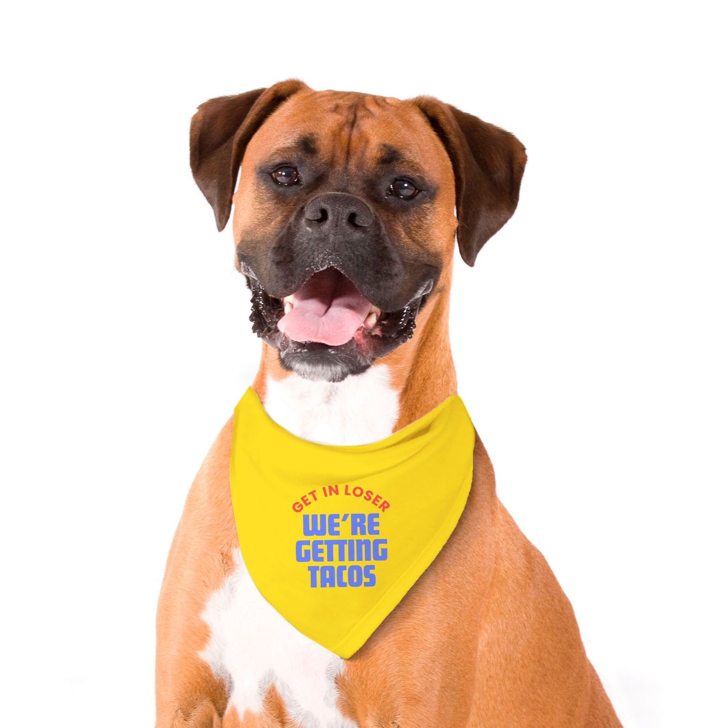 Foodie Bandanas